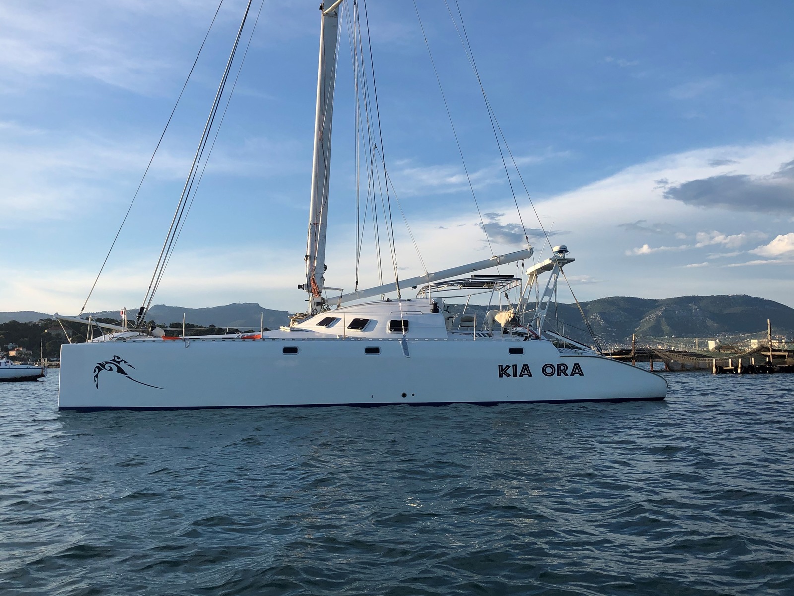 freydis 46 catamaran for sale