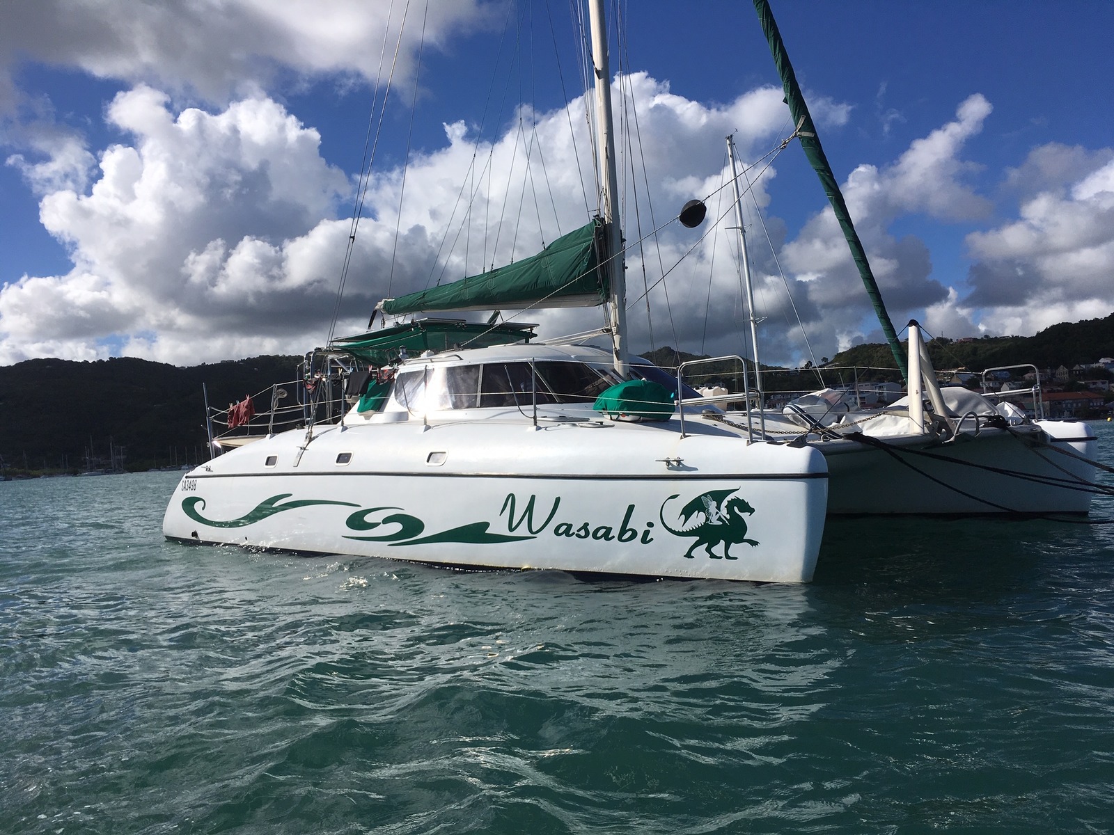 wildcat 350 catamaran for sale